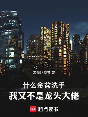 我又不是龙头大佬免费阅读无弹窗