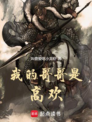 我的哥哥是高欢无防盗