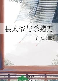 县太爷与杀猪刀番外