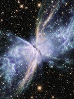 五维他口服溶液主要治疗哪些疾病