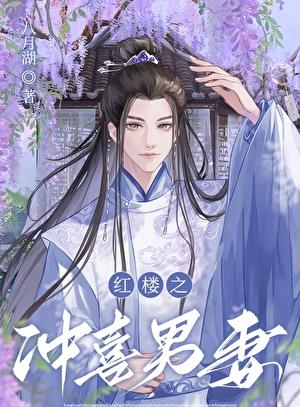 红楼之冲喜男妻免费阅读