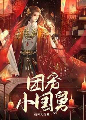 团宠小国舅讲的是什么故事啊