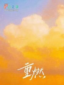 重燃电视剧全集免费观看