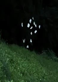 蔚然是一汽还是上汽