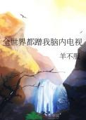 全世界都蹭我脑内电视剧