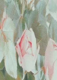 谁来拯救我英文怎么说