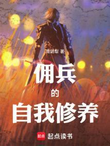 佣兵战纪神秘陌生人没了吗