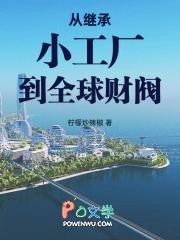 从继承小铁矿到资源大亨