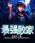 最强败家子2纳兰凌风