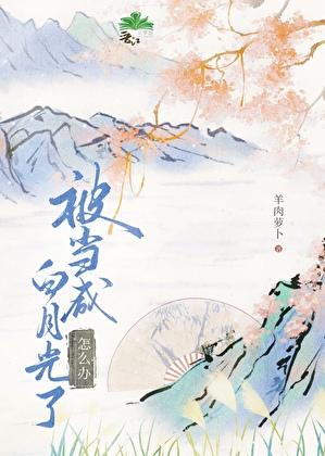 女土匪变太子妃