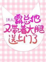 慕紫瞳夏安全文阅读免费