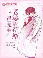 江羡乔忘栖清宝