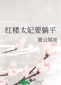 红楼之太太