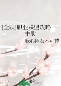 全职业t21