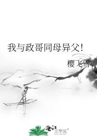 我与政治的关系500字