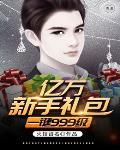 亿万新手礼包一键999级txt