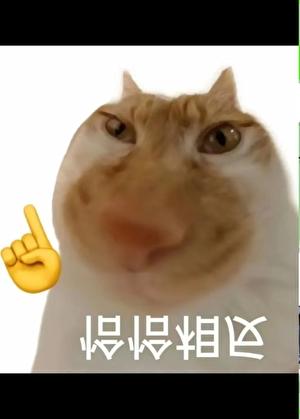 长生种开启了猎人朋友圈免费笔趣阁