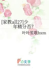 精分少年的意思