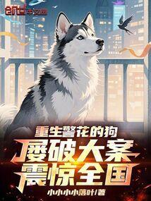 屡破大案震惊全国TXT