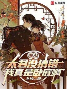 我真是卧底啊原著