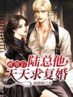 陆深苏一