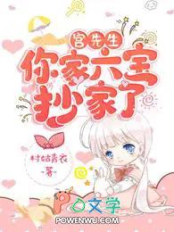 你家六宝抄家了txt
