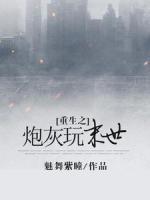 主人公洛宁