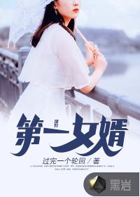 第一女婿电子书