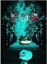阴阳路9
