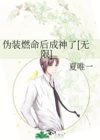 伪装燃命后成神了[无限 伪装燃命后成神了[无限