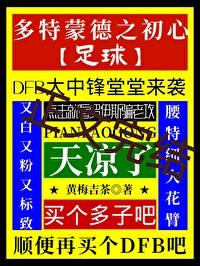 多特蒙德足球赛