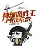 游戏王系统大全