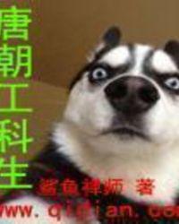 唐朝工科生起点中文网