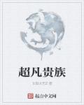 超凡贵族 顶点 23us