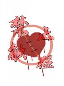 禁止触碰英语怎么说