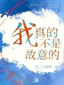 我真的不是故意的英文