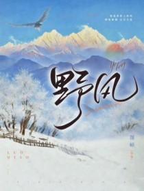 野风现代中心
