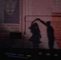 花鸟与鱼不同路 花鸟与鱼不同路