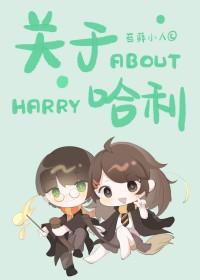关于哈利的那些事评价