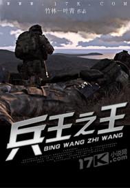 兵王之王 七品