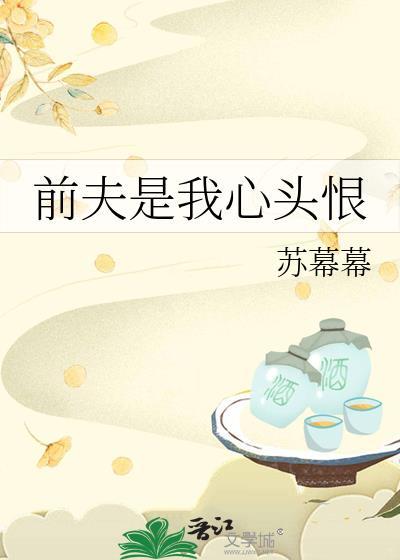 前夫是我心头恨讲的什么