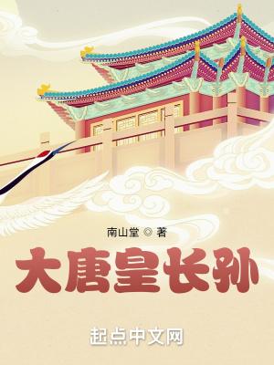 大唐皇长孙动画全集 大唐皇长孙动画全集