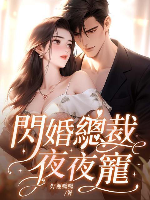 闪婚老公 夜夜独宠妻