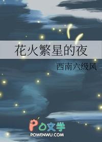 花火繁星的夜作者西南六级风