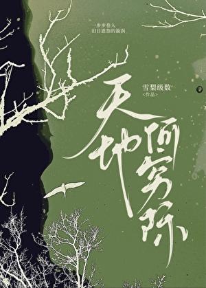 天地何穷际 天地何穷际