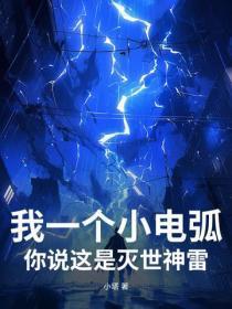 我一个小电弧,你说这是灭世神雷? 我一个小电弧,你说这是灭世神雷?