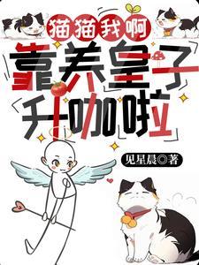 失忆后和前任上恋综笔趣阁